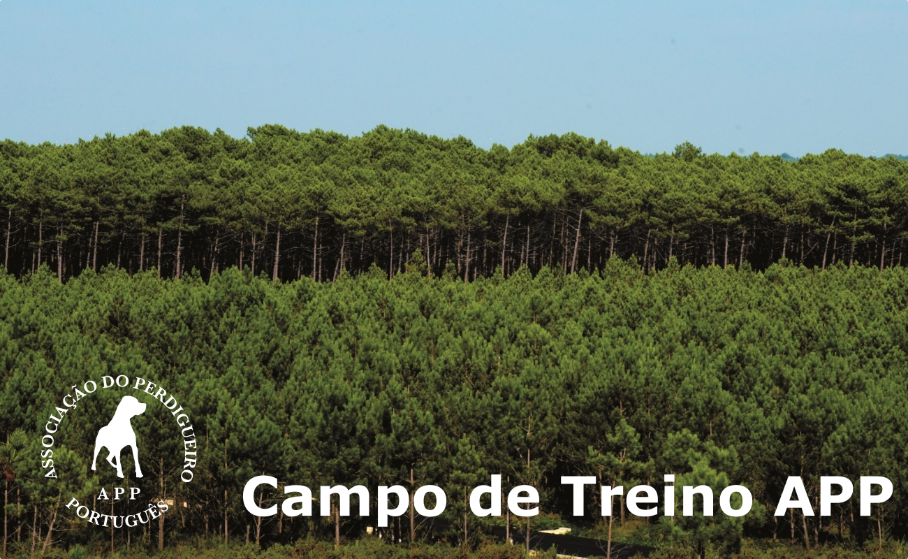 Campo de Treino APP – Mata Nacional da Leirosa